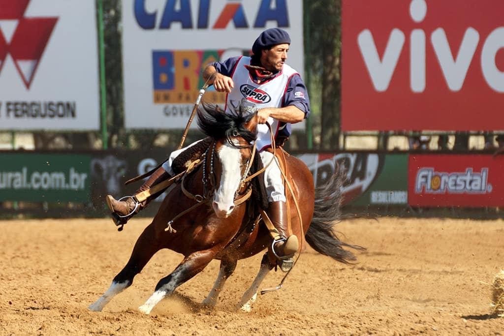 Pampa de São Pedro em movimento sob condução na pista